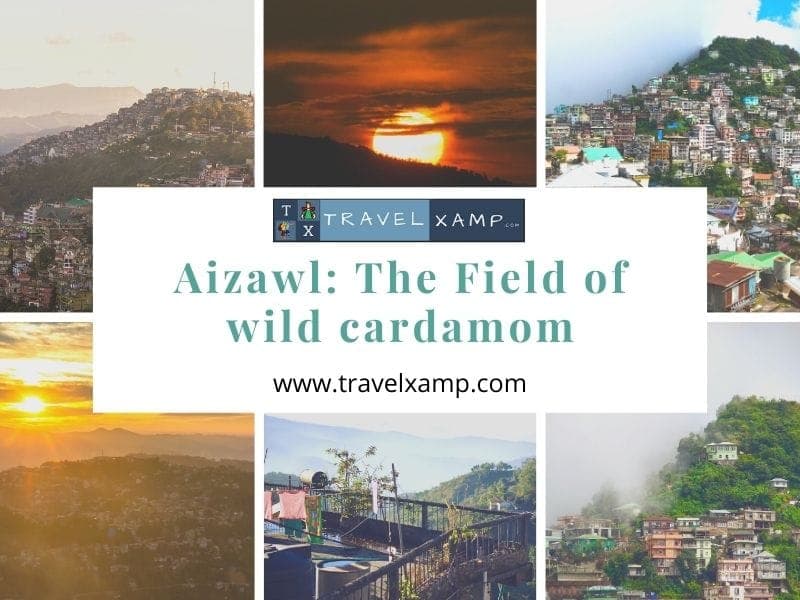 Aizawl: The Field of wild cardamom