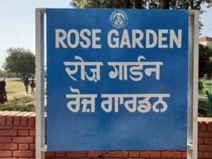 Rose-Garden