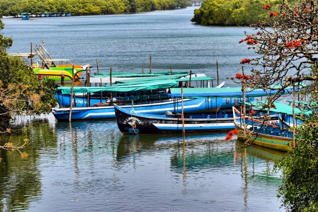 Boat in Goa