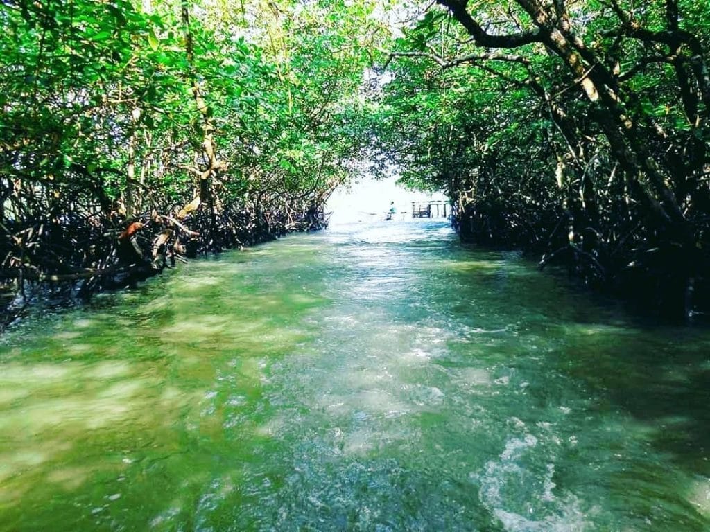 Baratang Island, Andaman & NIcobar Island