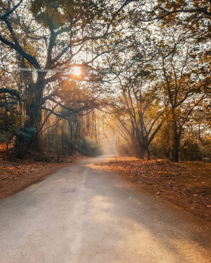 Sanjay Gandhi National Park
