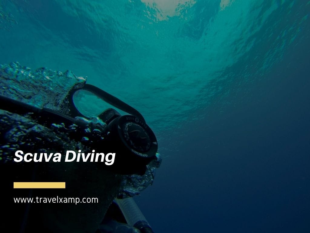 Scuva Diving
