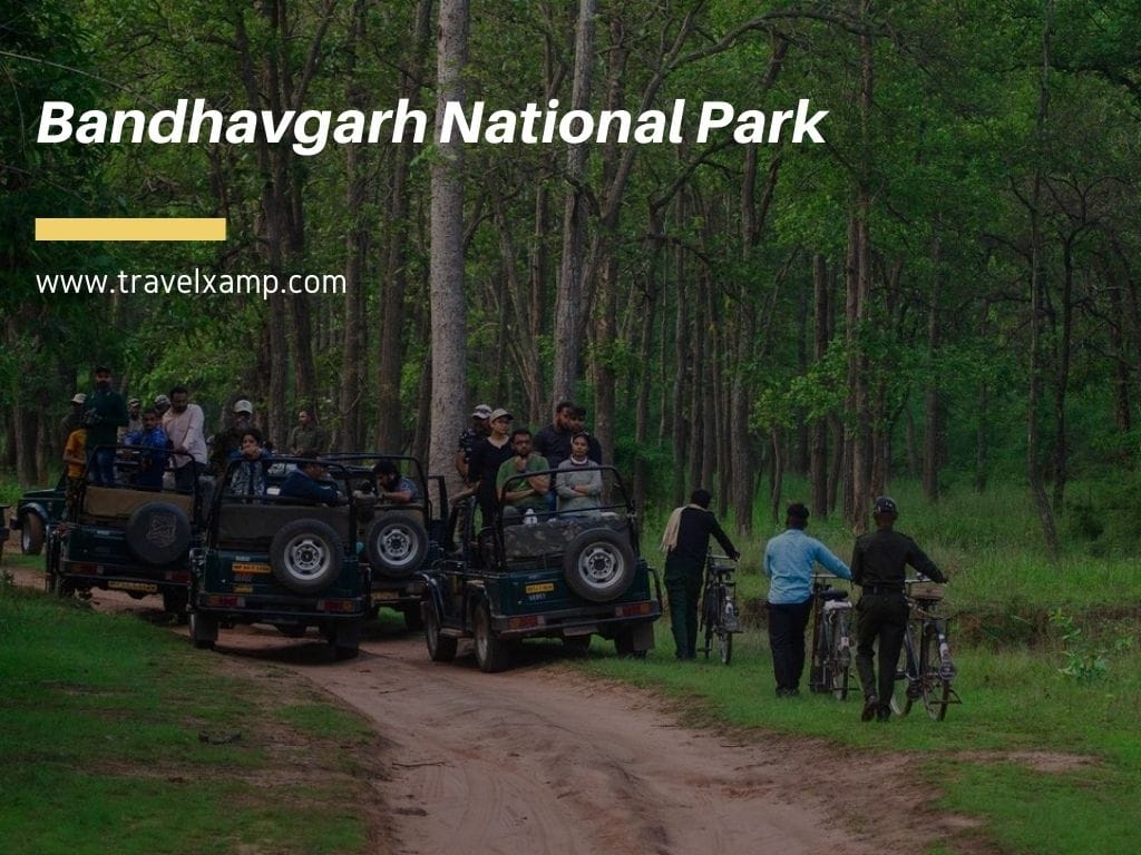 Bandhavgarh National Park