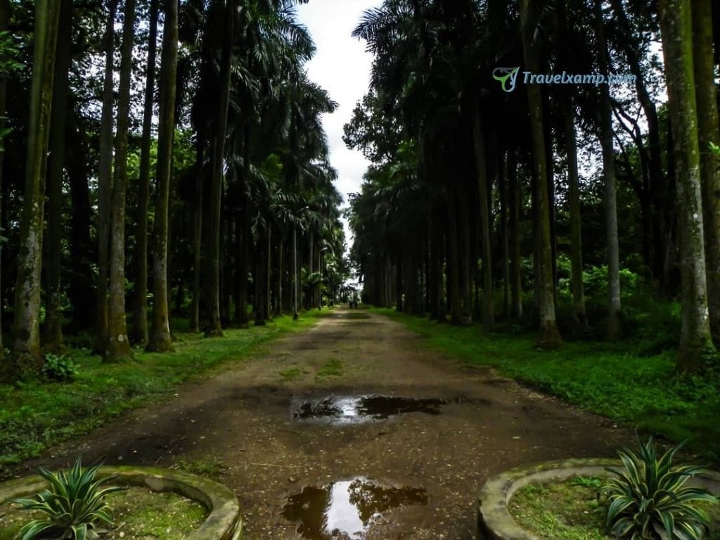 Botanical Garden