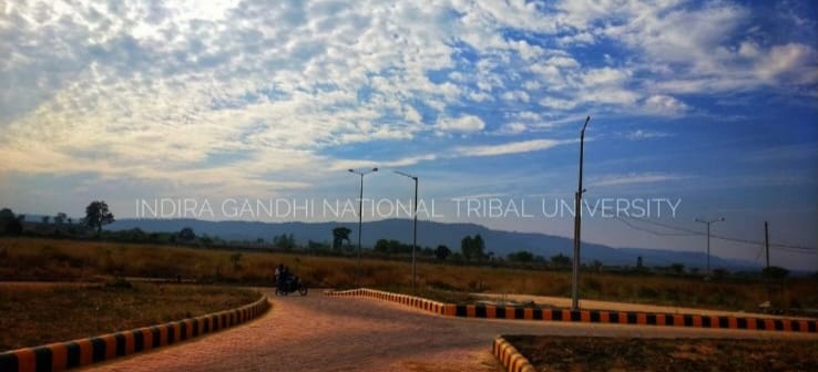 IGNTU View