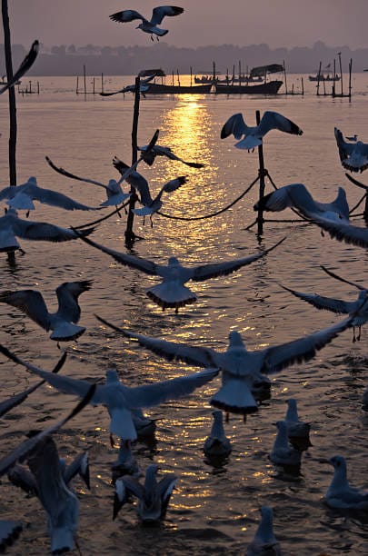 Triveni Sangam