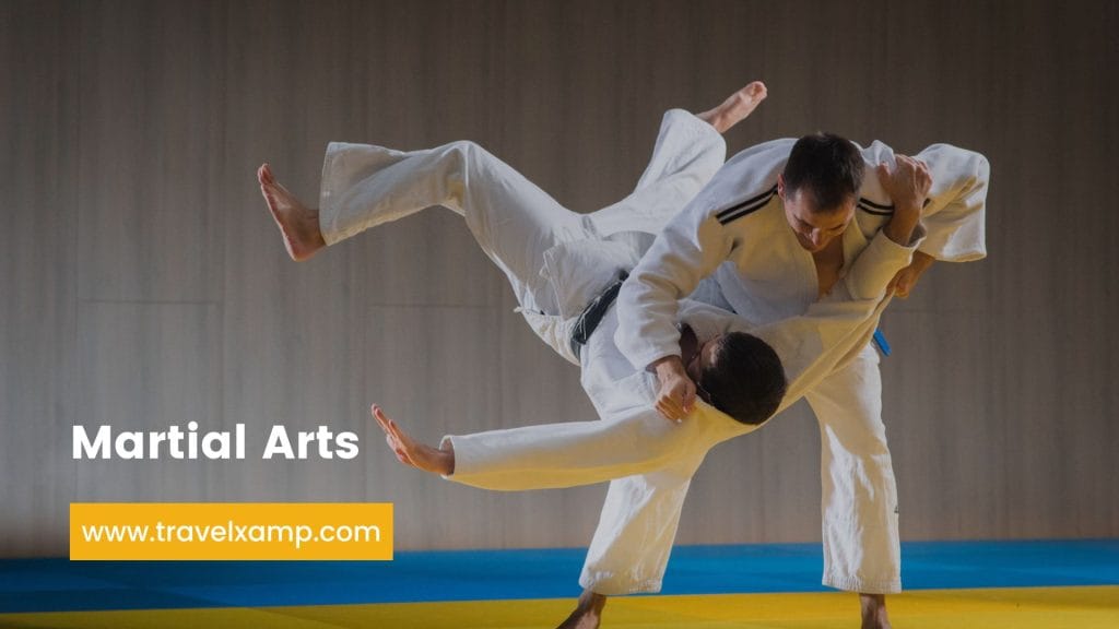 Martial Arts